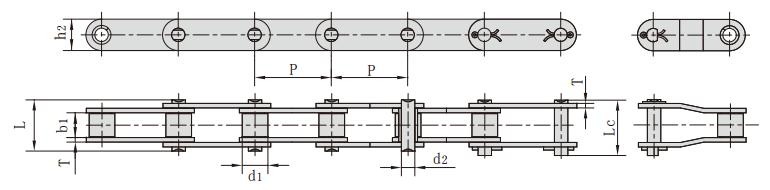 <font color='red'>C2100H</font>_C220AH 雙節(jié)距輸送鏈